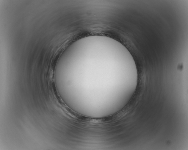 X0000112460081200908171026
