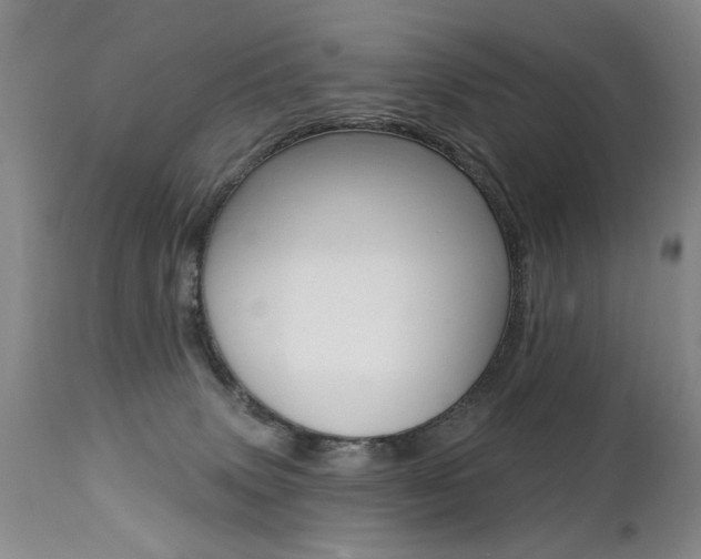 X0000112460083200908171026