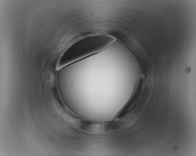X0000112460084200908171026