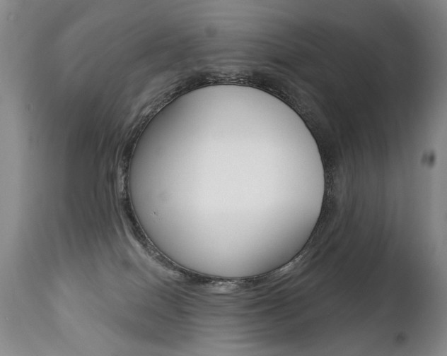 X0000112460086200908171026