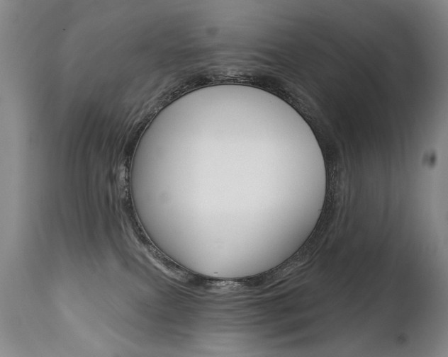 X0000112460087200908171026