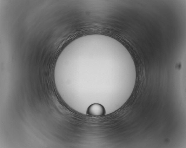 X0000112460088200908171026