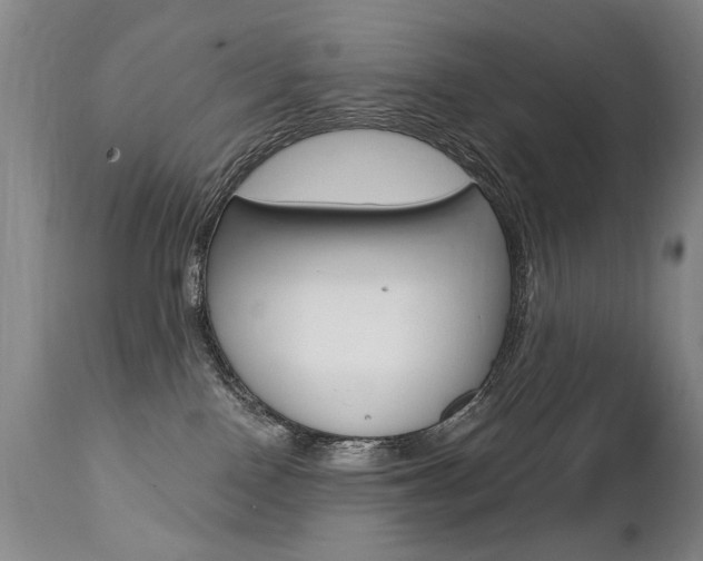 X0000112460090200908171026