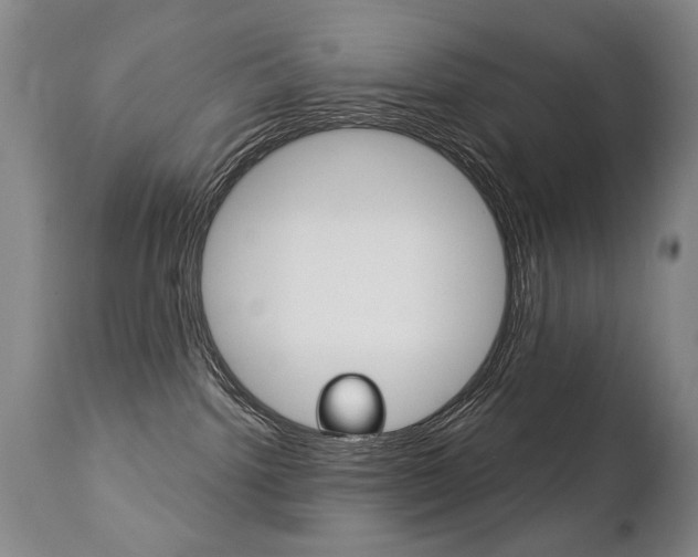 X0000112460092200908171026