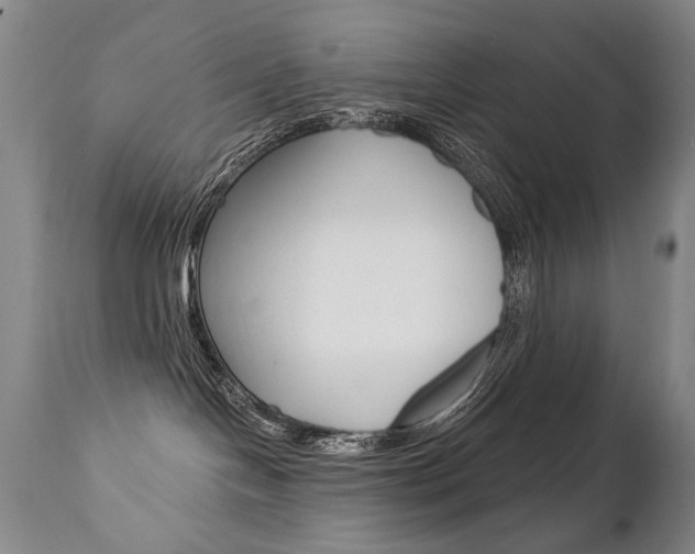 X0000112460094200908171026