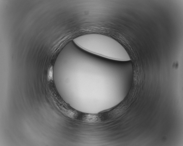 X0000112460095200908171026