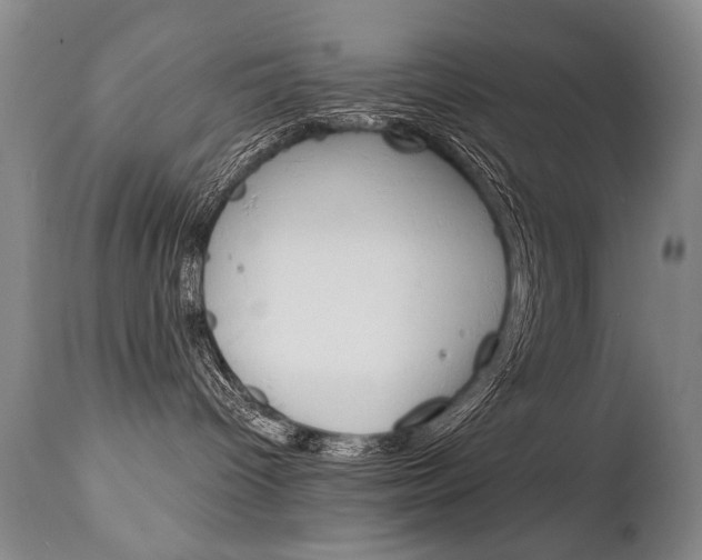 X0000112460096200908171026