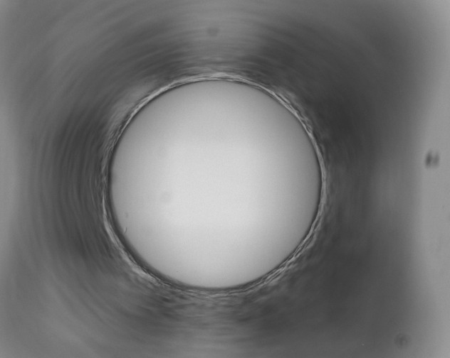 X0000112460097200908171026