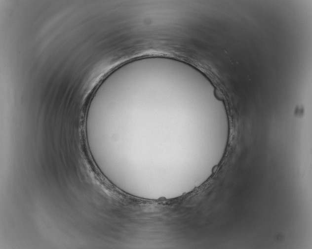 X0000112460098200908171026