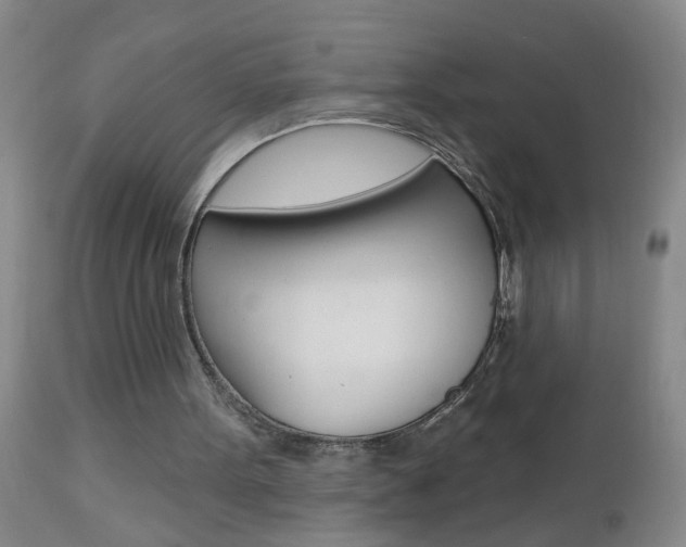 X0000112460099200908171026