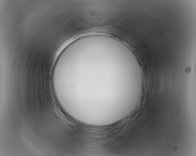 X0000112460100200908171026