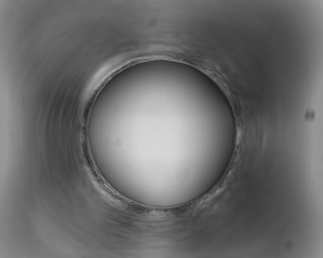 X0000112460101200908171026