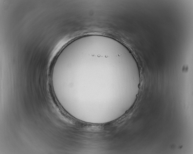 X0000112460102200908171026