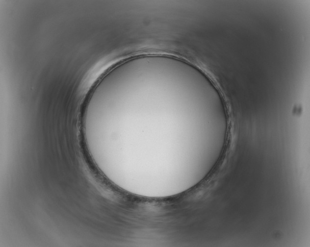 X0000112460103200908171025