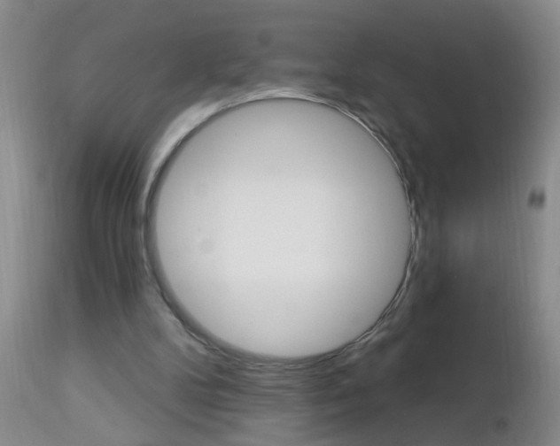 X0000112460104200908171025