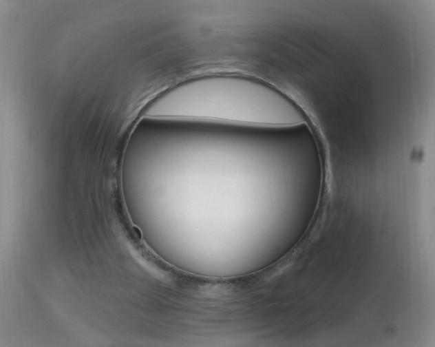 X0000112460105200908171025