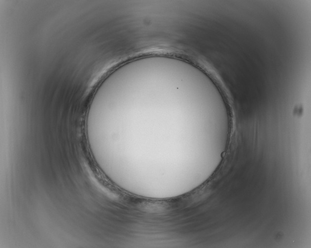 X0000112460106200908171025
