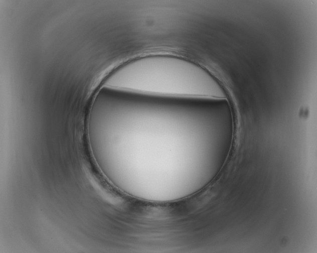 X0000112460107200908171025