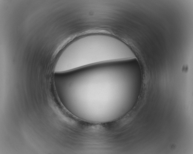 X0000112460112200908171025