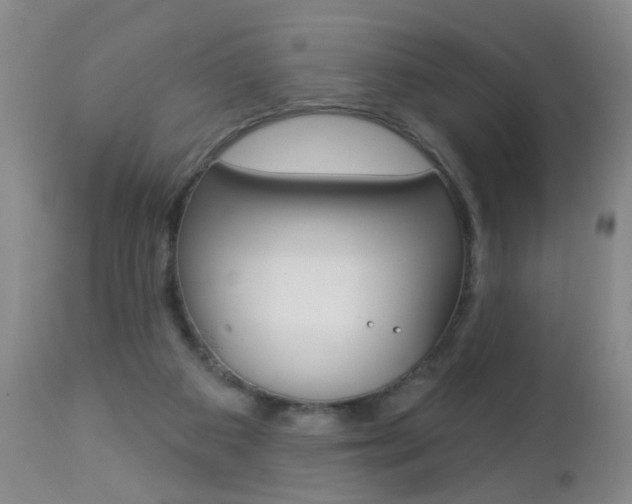 X0000112460113200908171025