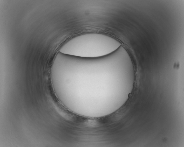 X0000112460114200908171025