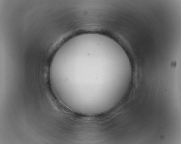 X0000112460115200908171025