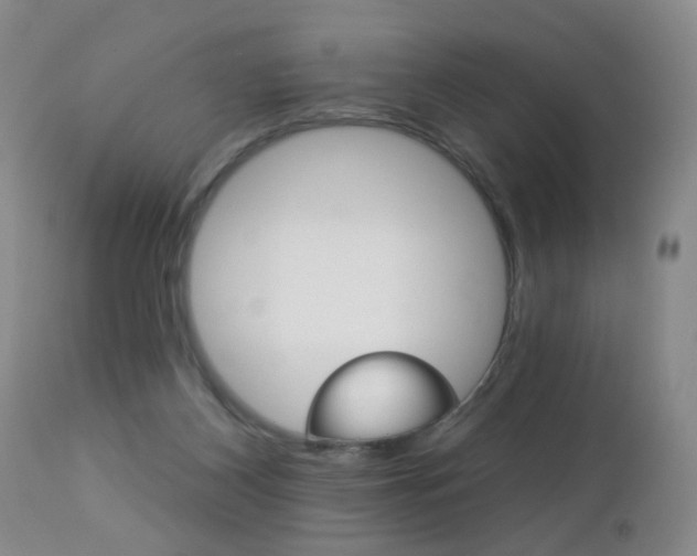 X0000112460116200908171025