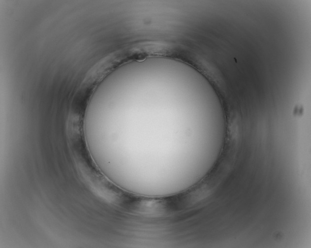 X0000112460117200908171025