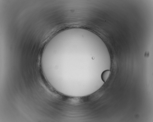 X0000112460118200908171025