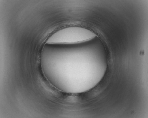 X0000112460119200908171025