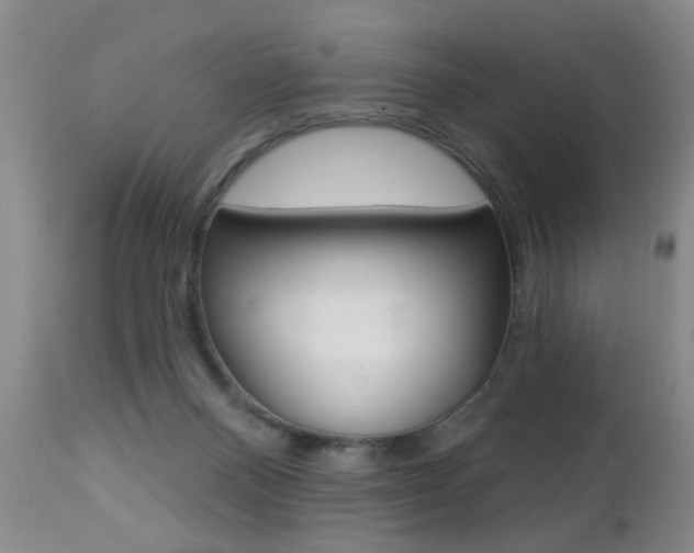 X0000112460120200908171025