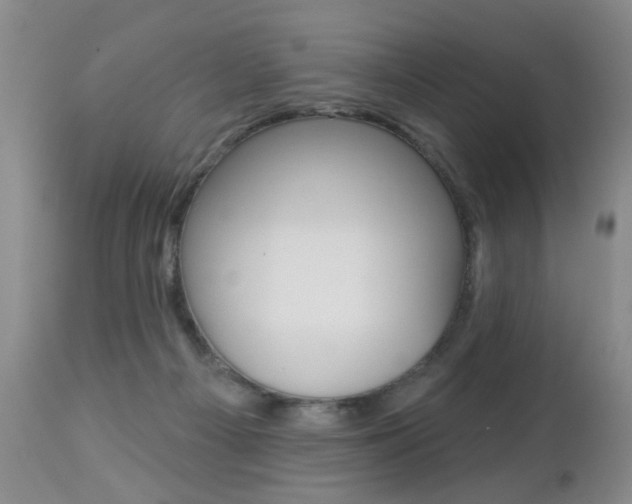 X0000112460121200908171025