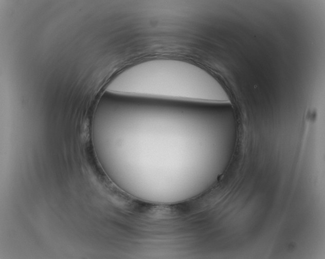 X0000112460123200908171025