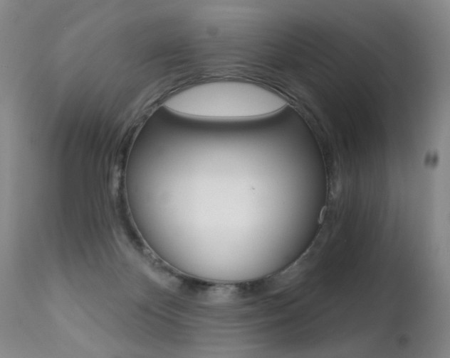 X0000112460124200908171025
