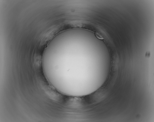 X0000112460125200908171025