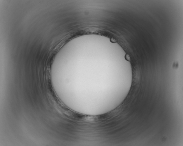 X0000112460126200908171025