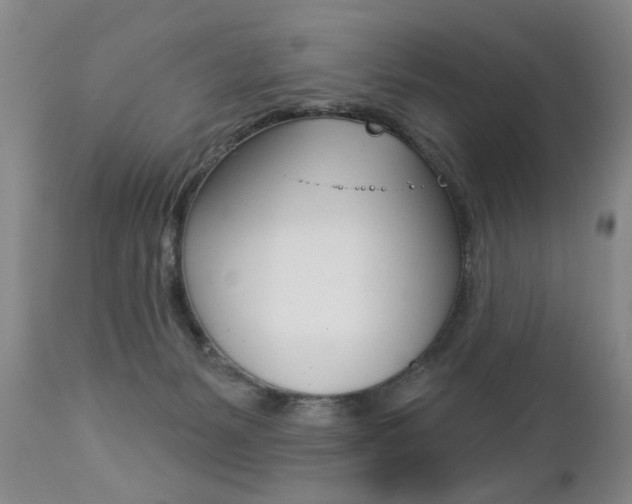 X0000112460127200908171025