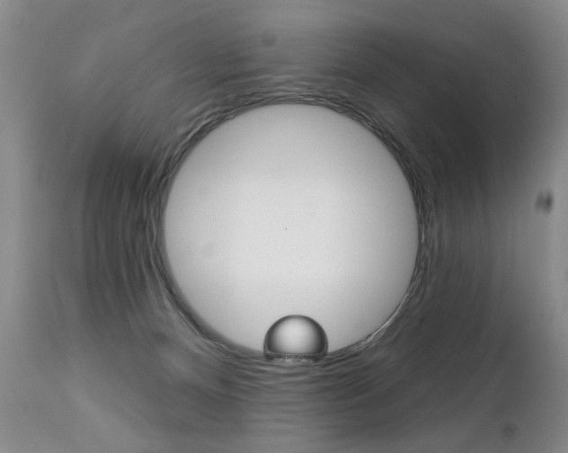 X0000112460128200908171025