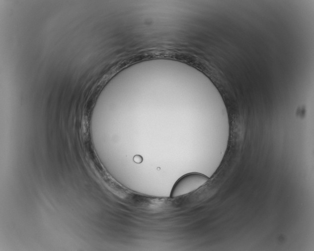 X0000112460130200908171025