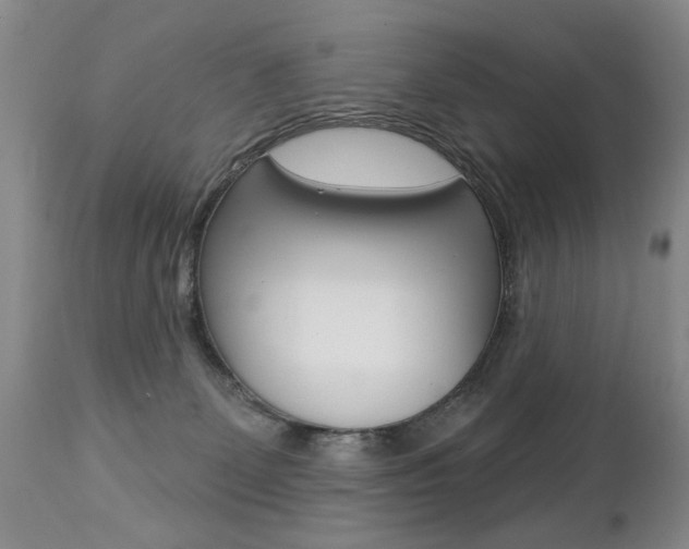 X0000112460131200908171025