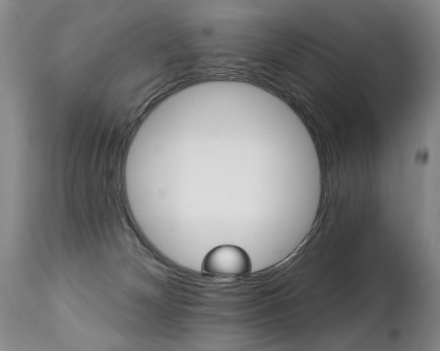 X0000112460132200908171025