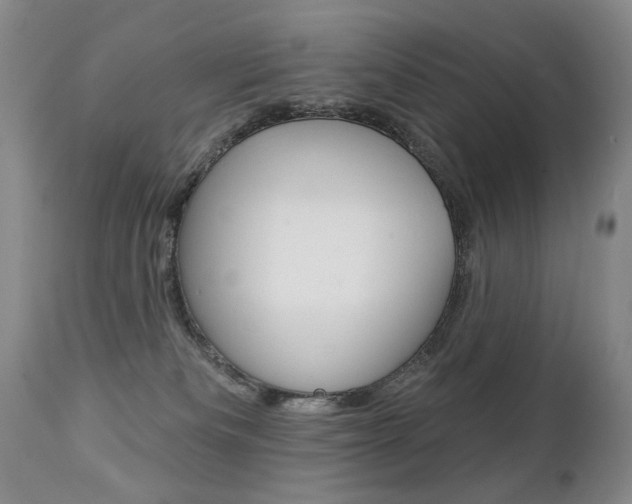 X0000112460133200908171025