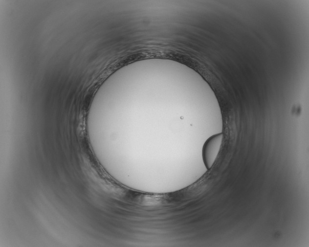 X0000112460134200908171025