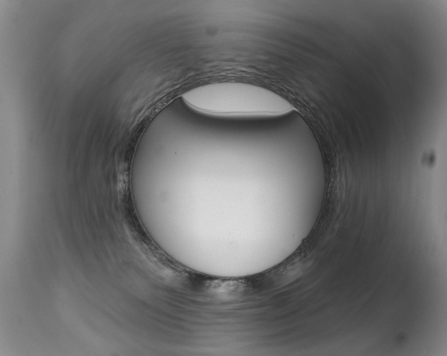 X0000112460135200908171025