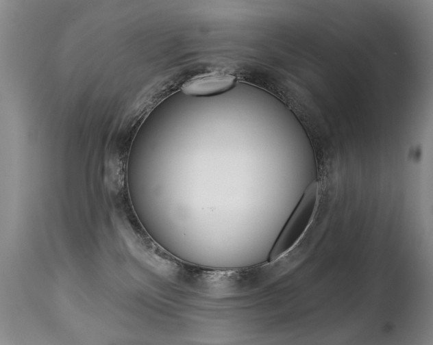 X0000112460136200908171025