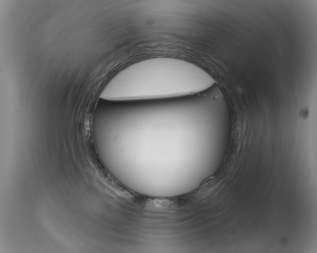 X0000112460137200908171025