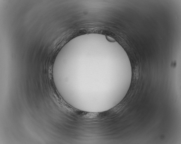 X0000112460138200908171025