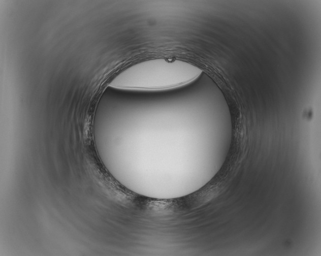 X0000112460139200908171025