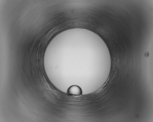 X0000112460140200908171025