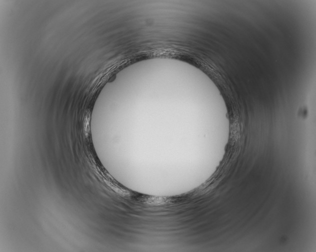 X0000112460142200908171025